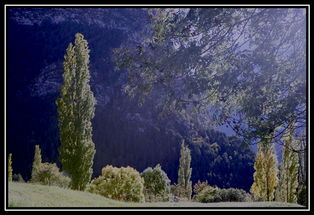 Landscapes