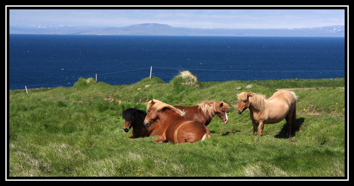 Iceland2008 1580su