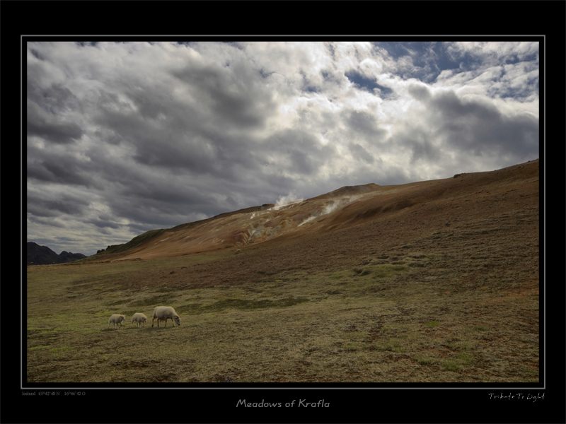 Iceland2008 2139s