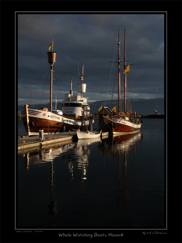 Iceland2008 2166s